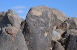 Animal Pictograph