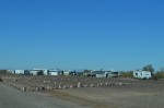 BLM Winter homes