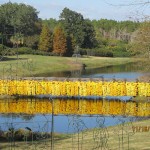 Bellingrath bridge