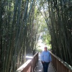 Bellingrath path to wildlife viewing