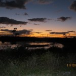 Johnathan Dickinson State Park