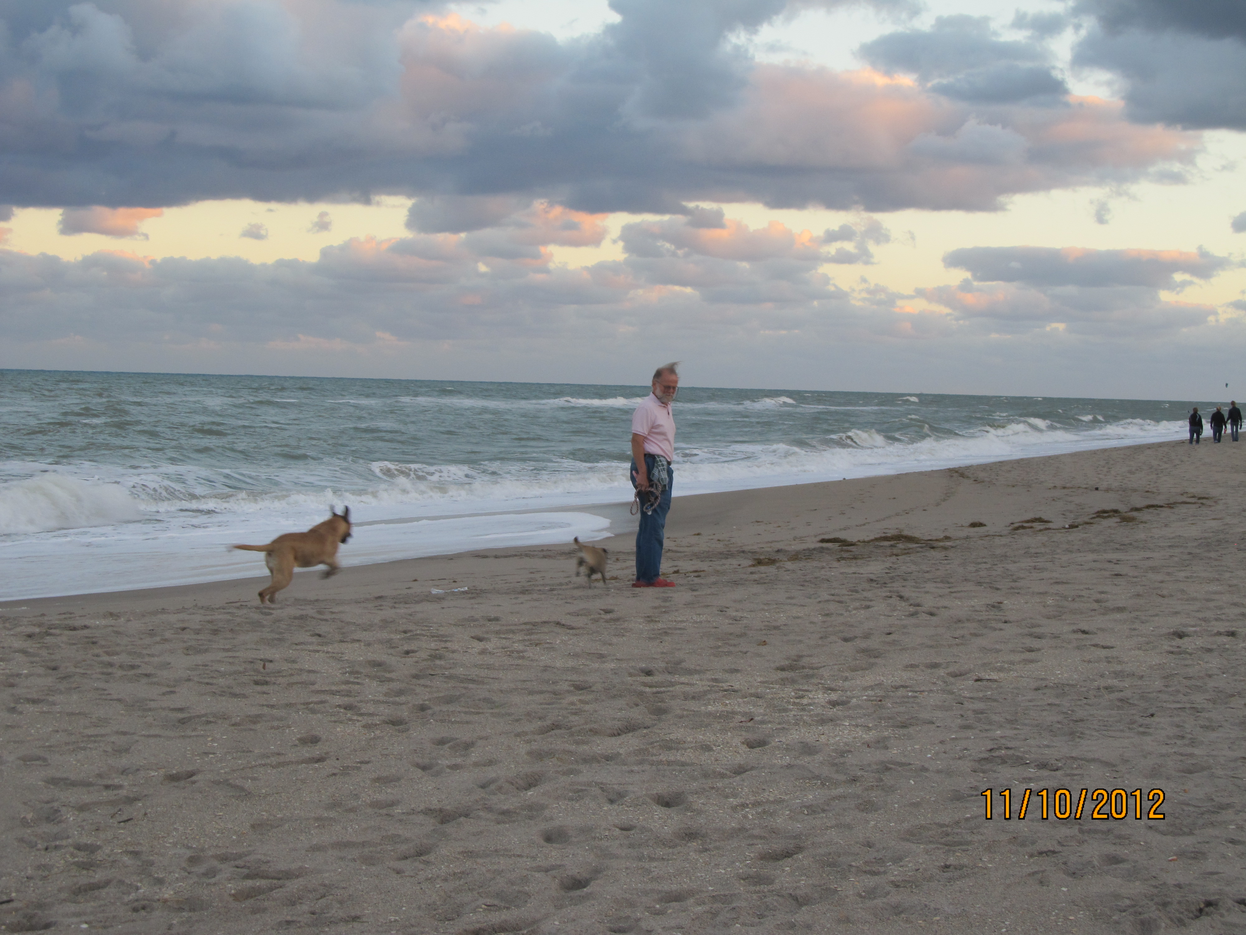 Juno Beach 3