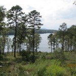 Lake Catherine From Garvan Gardens