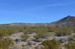 Mojave Desert