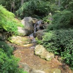 One of the many falls in Garvan Woodland Gardens