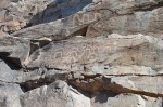Pictographs Quartzsite