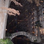 Riverwalk Lights
