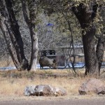 across from our site