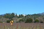 Beringer Winery