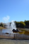 Geyser blowing off steam