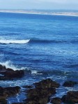 Monterey Ocean, seals