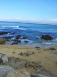 Monterey coast