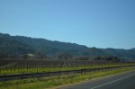 More wine country