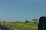 Napa Valley