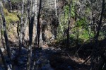 On the way to the Bale Mill