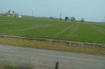 Rice fields