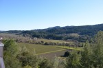 Some of the Sterling Vineyards
