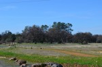 Upper Bidwell