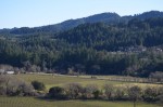 View from Sterling Vineyards
