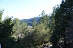 View from the winery