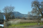 Wine country