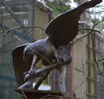 Art in the yard