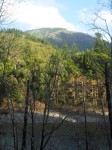 Chetco River