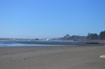 Crissey Field Beach