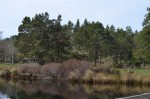 Eel Lake Park
