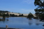 Horsfall sand dunes