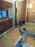 Mold Remed 3-29