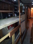 Mold Remedation March 29