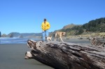 On the beach