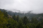 Oregon Redwood Trail