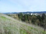 Overlooking the city of Eugene