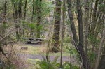 Picnic Tables at Winchuck Campground