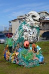 Recycled Seal in Bandon