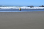 Scouting for Sea Glass