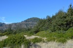 The Field part of Crissey State Beach