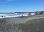 The beach at Brookings harbor