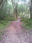 the trail at Loeb Park