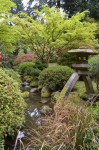 Japanese Gardens statuary