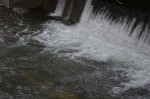 Anchorage salmon ladder