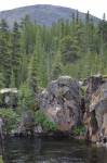 Boreal forest and river view