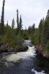 Boreal forest falls