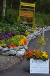 Entrance to Botanical Gardens
