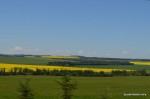 Grande Prairie