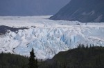 Matanuska up close
