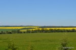 More Grande Prairie