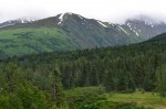 Near Moose Pass